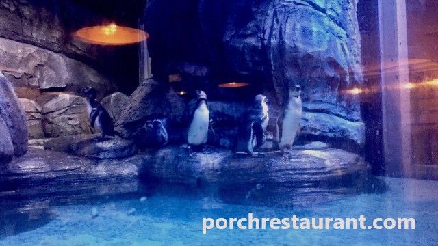 porchrestaurant.com